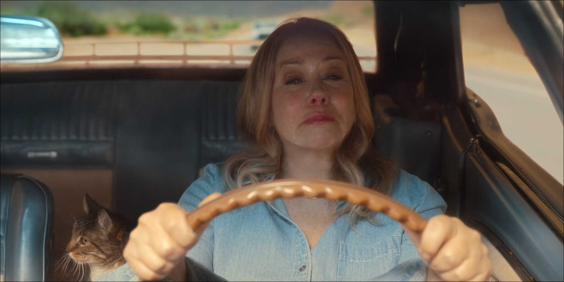1149.jpg